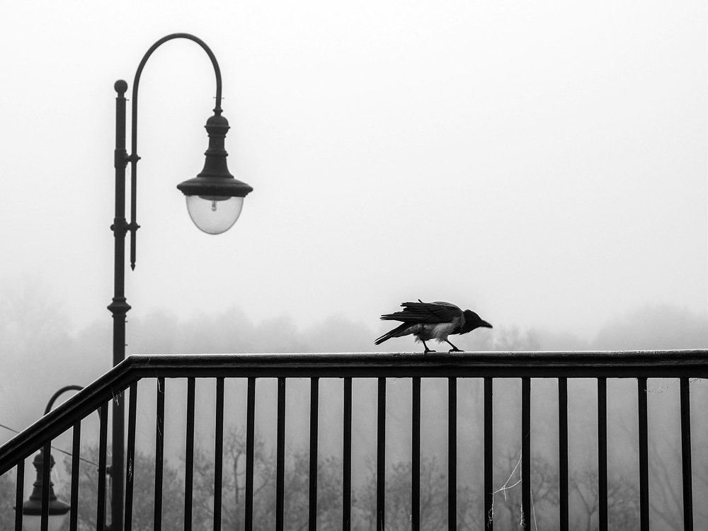 В ожидании встречи