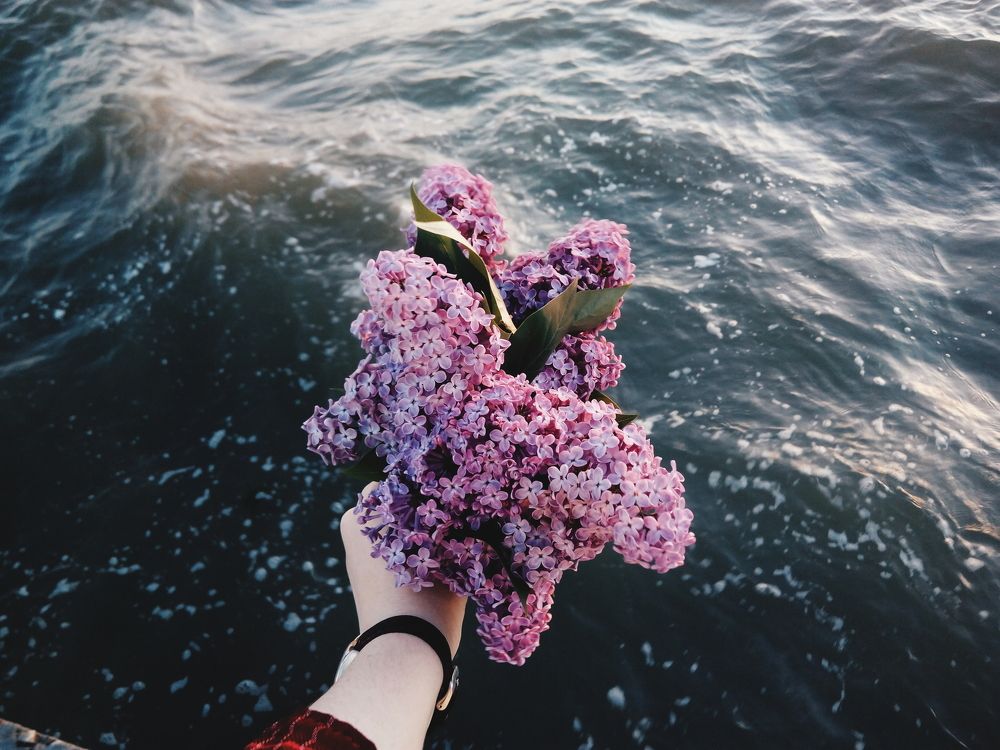 Photograph by Беликова Людмила