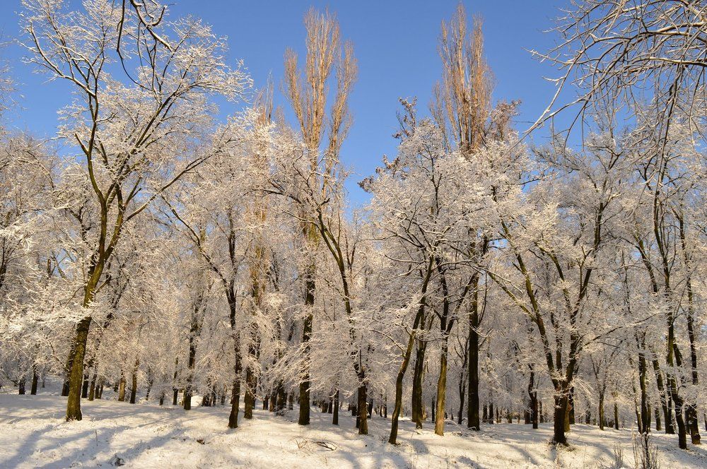 Кружева.