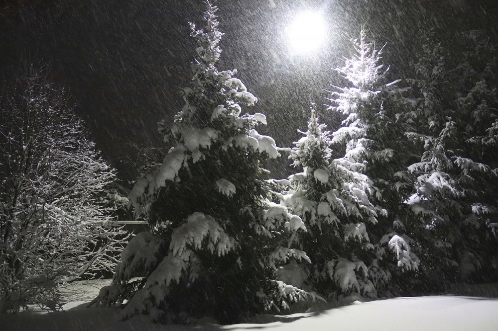 Мороз снежком укутывал...