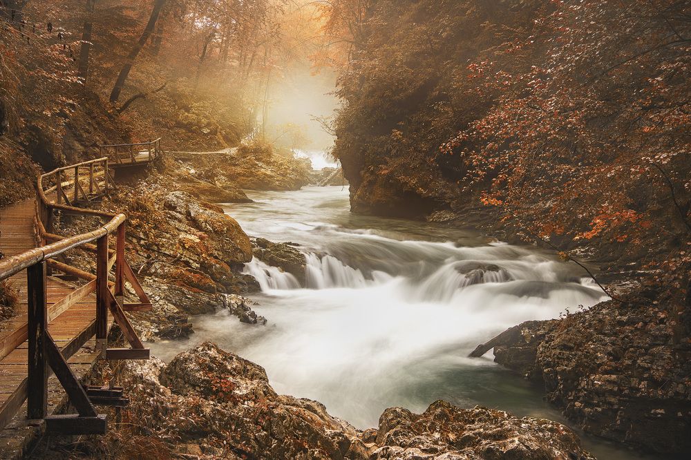 The wooden road into the mist