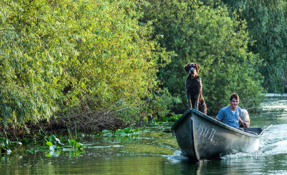 Photograph by Olari Ionut