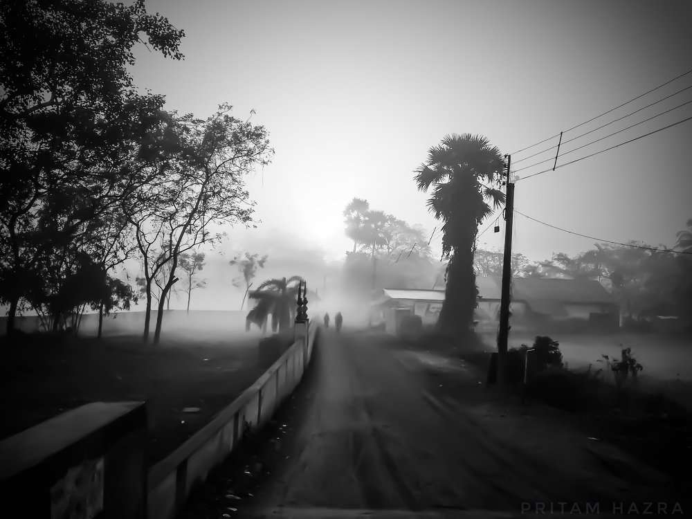 Beauty of the mist