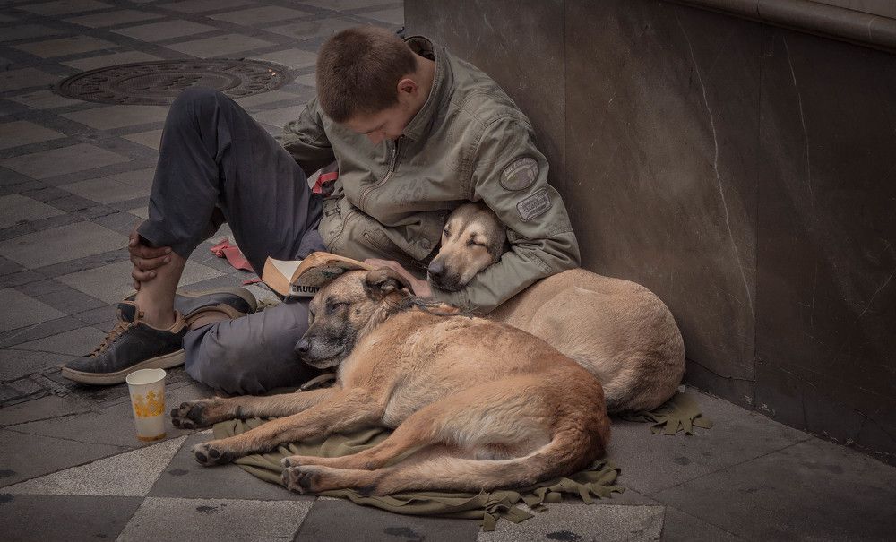 Photograph by Александр Волков