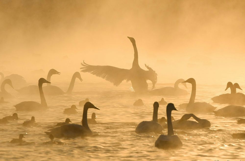 Photograph by Карамышев Роман