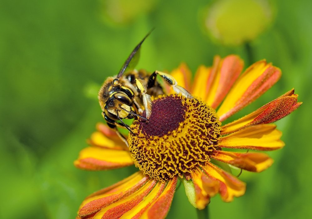 Photograph by Алексей Ладей