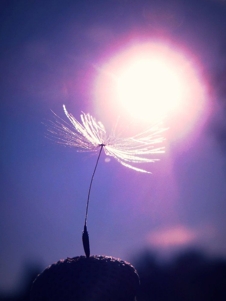 Photograph by Стефанова Татьяна