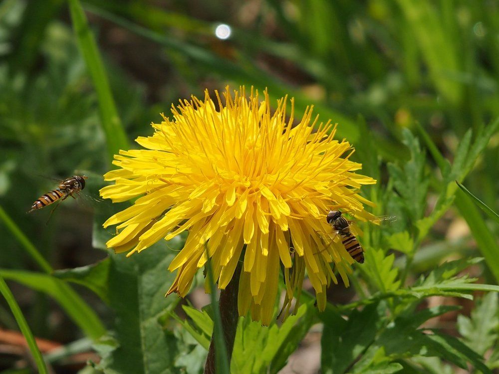Место встречи изменить нельзя