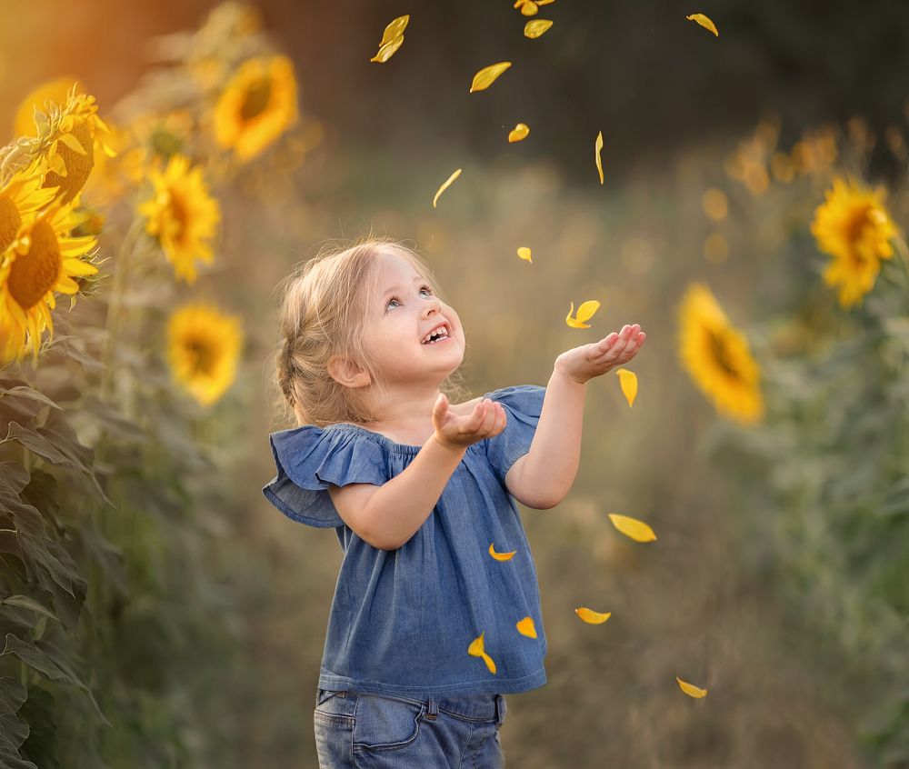 Подсолнуховое счастье