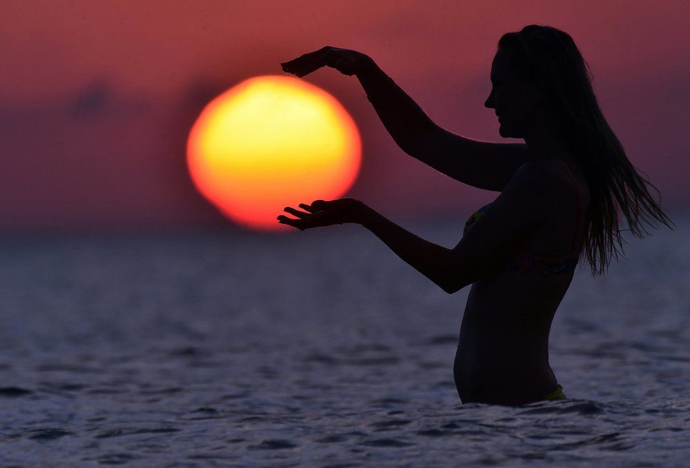 Концепция жизни