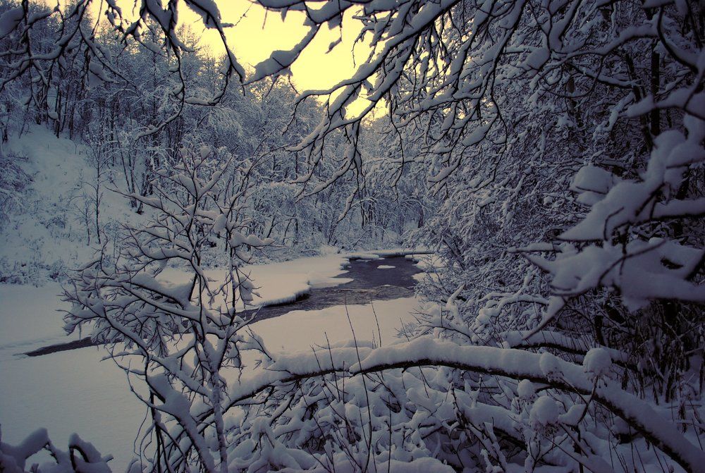 Зимой у Лавны