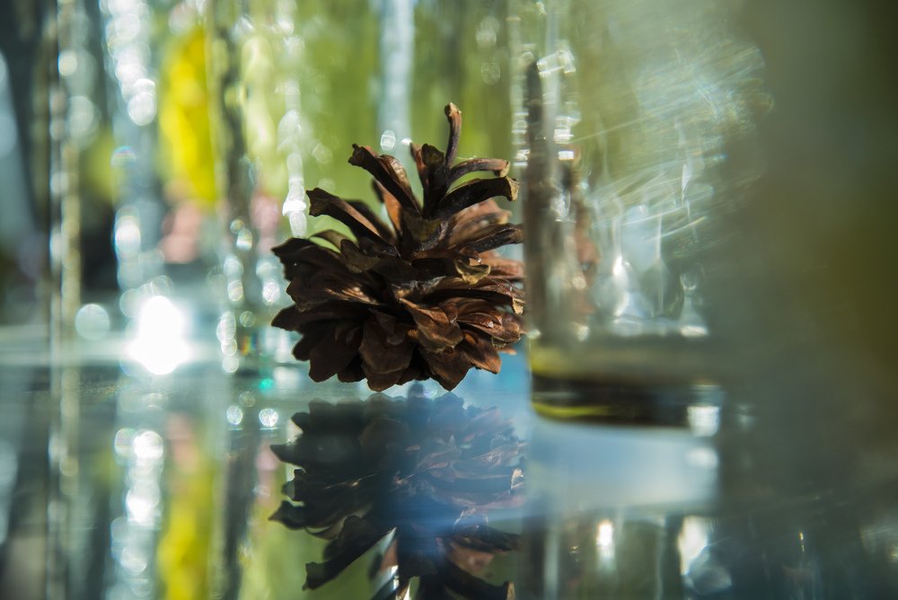 предновогодние подготовки