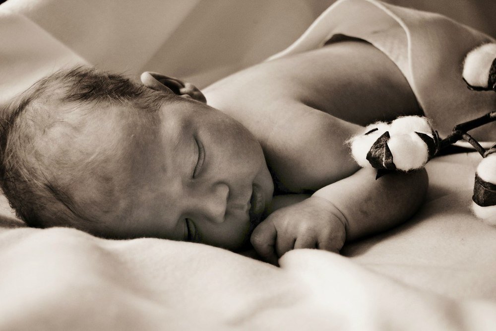 Хлопковый сон