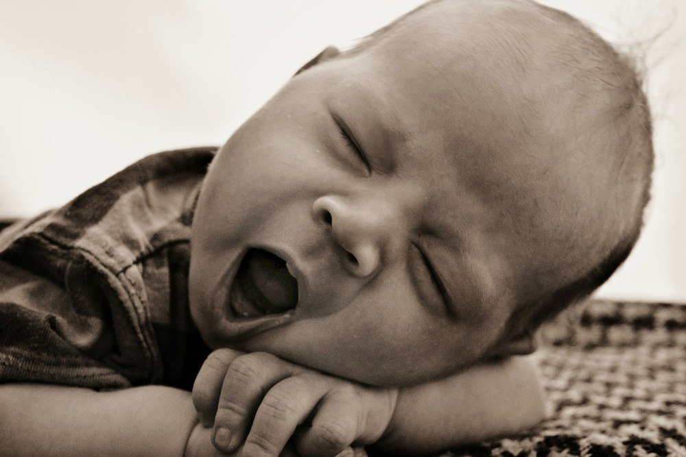 Хлопковый сон