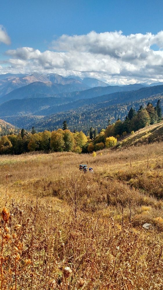 Photograph by Мишина Надежда