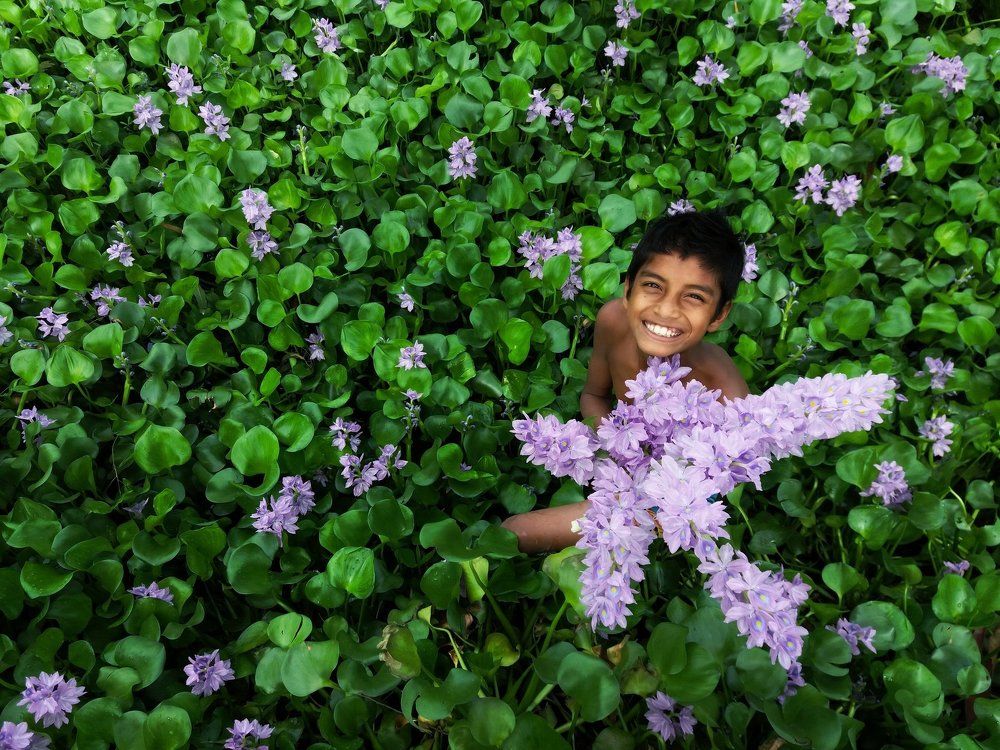 playing with water-hyacinth