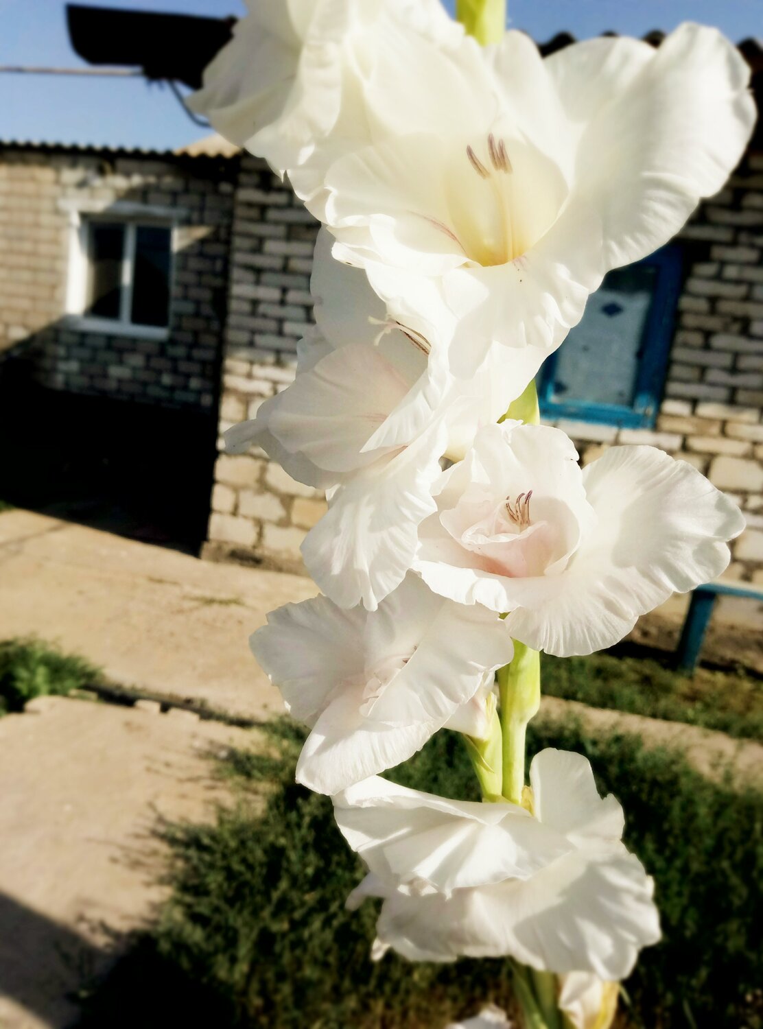 Весна на подходе