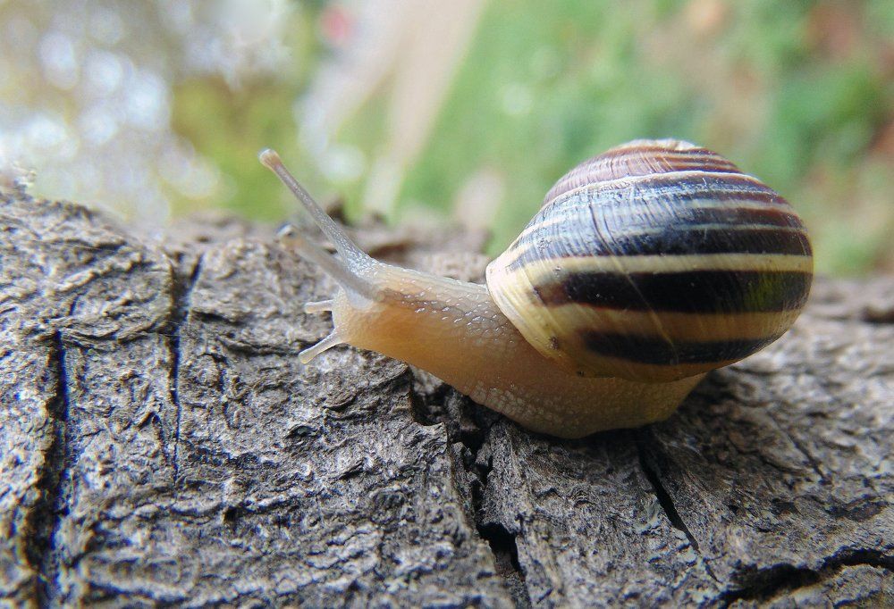 Photograph by настя