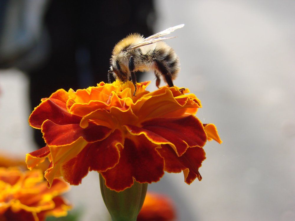 Photograph by настя