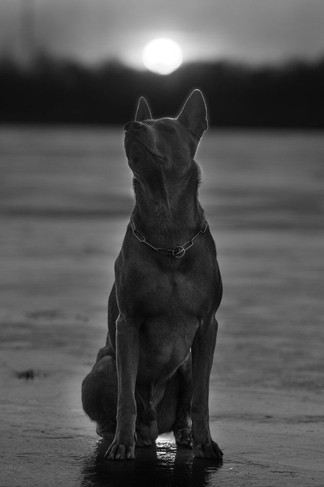 Photograph by Роман Фабричный