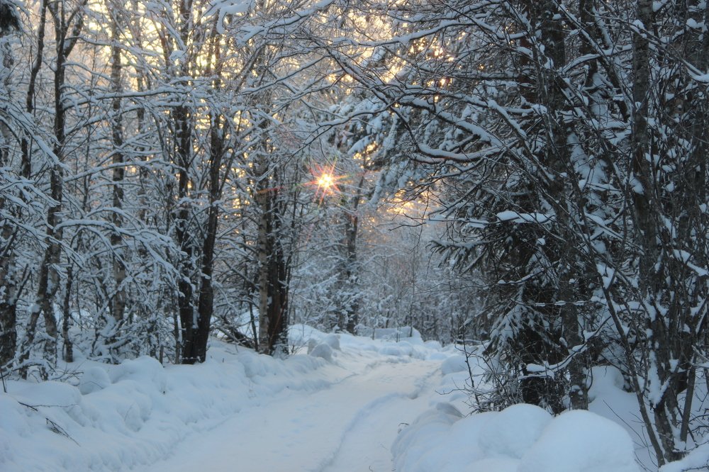 Зимний денек