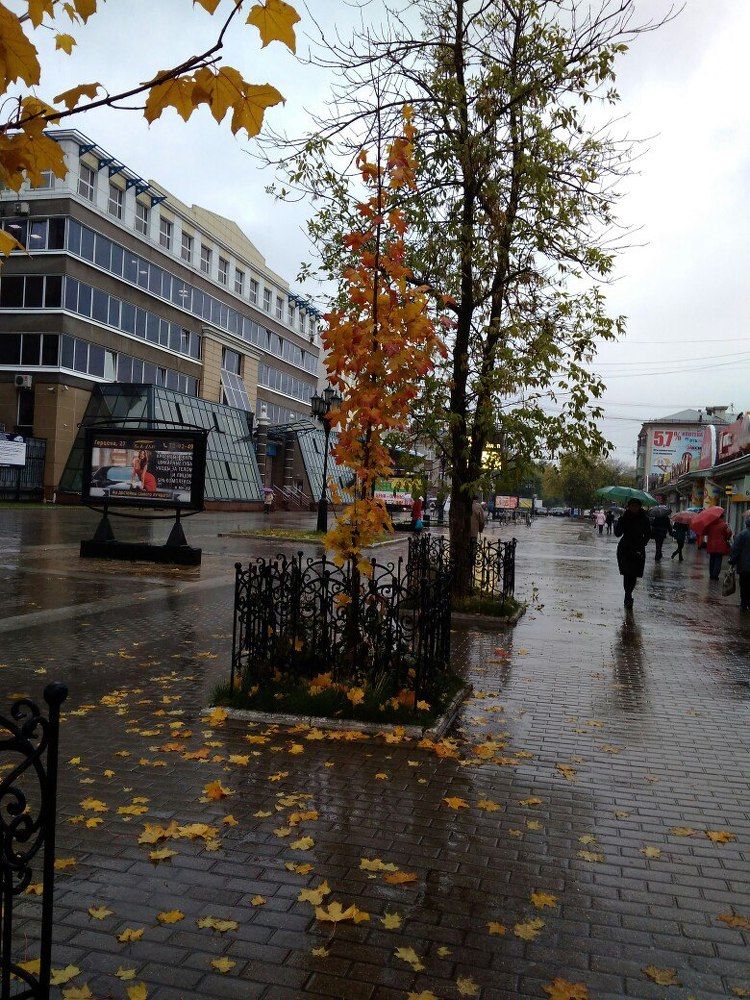 Следы осени