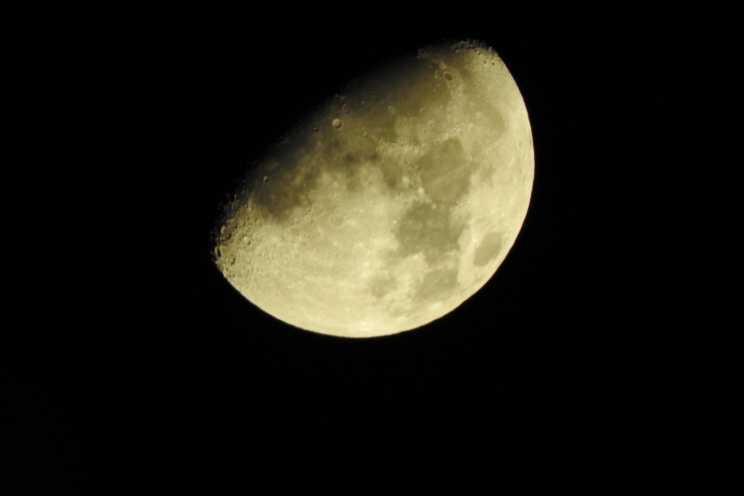 Photo #2183461