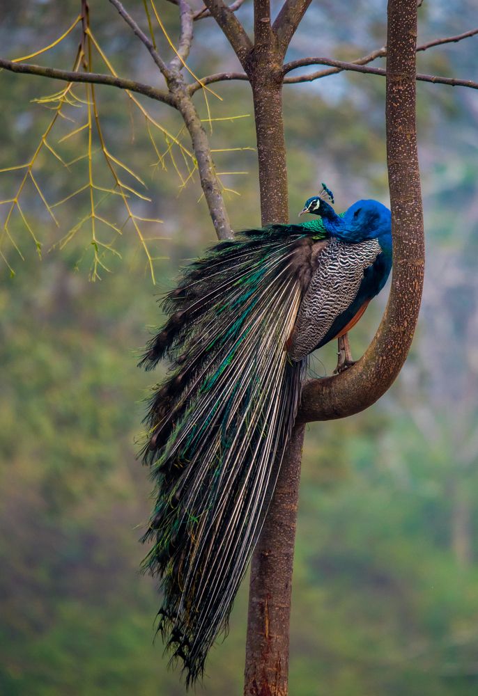 The Other Side of Beauty