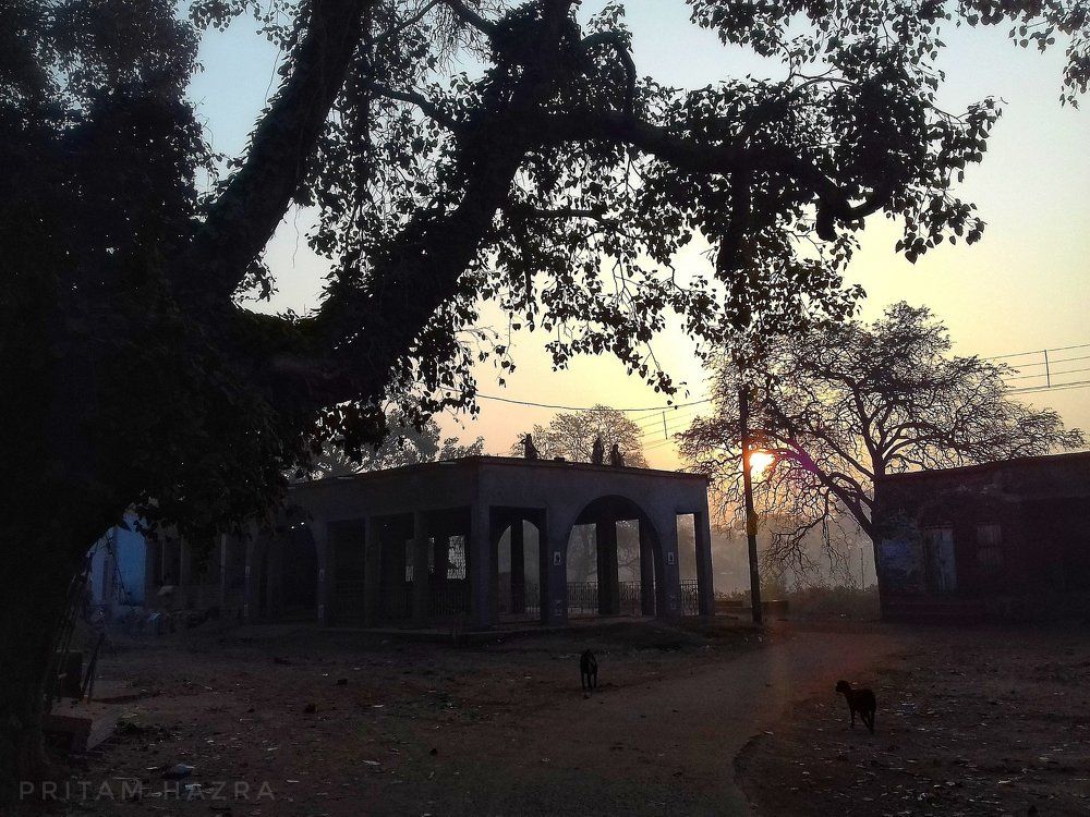 Beauty of the morning