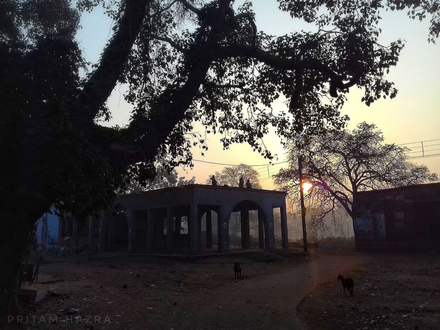Beauty of the morning