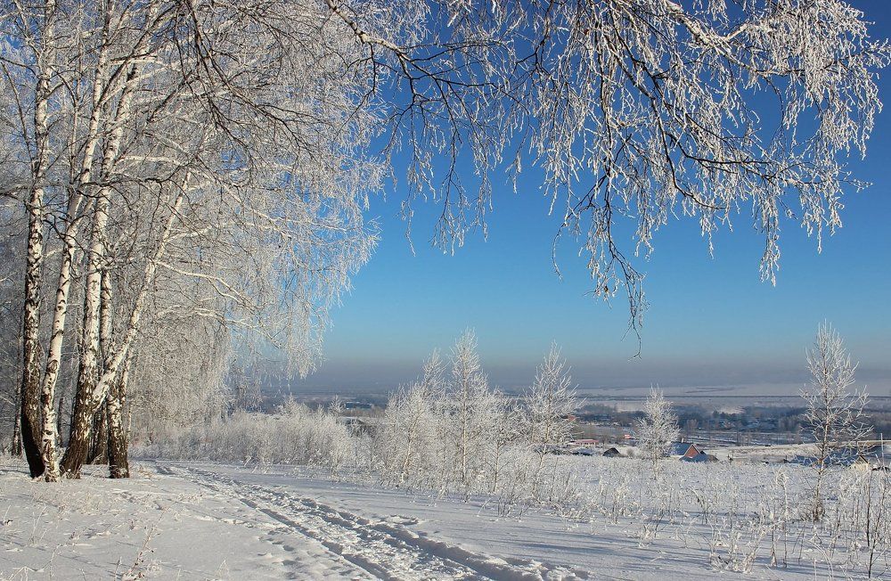 На лыжной тропе.