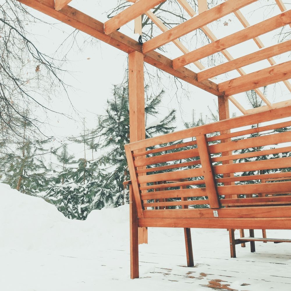 Утро, запах хвои.