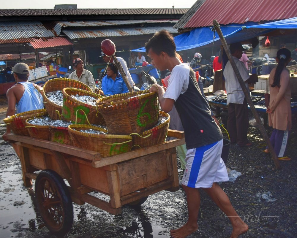 Buruh Pelabuhan Ikan