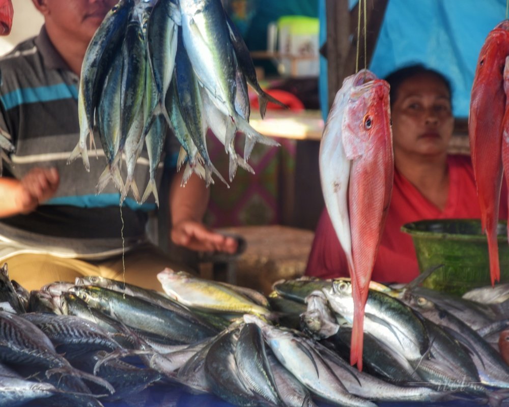 Pedagang ikan