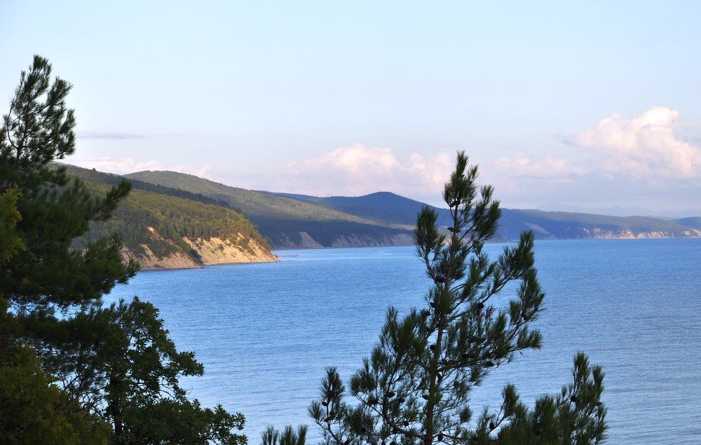 Береговая линия