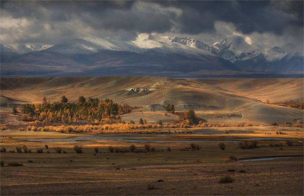 Алтайские зарисовки..!
