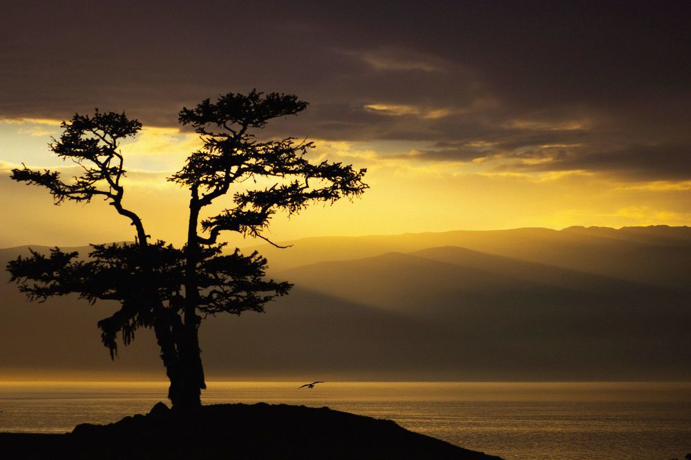 Мистическая тишина!