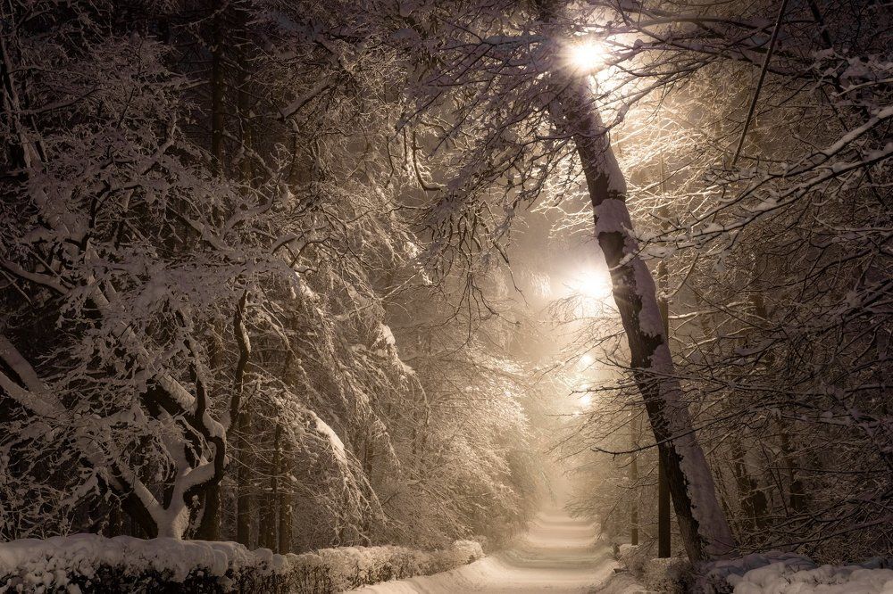 Ночь, улица, фонарь...