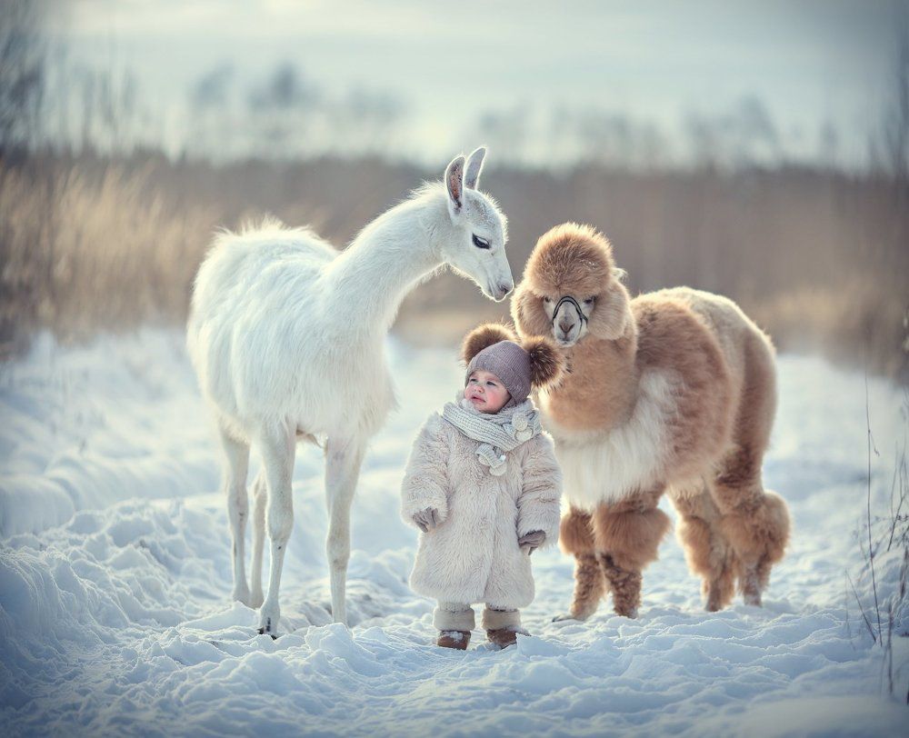 На прогулке со сказочными животными