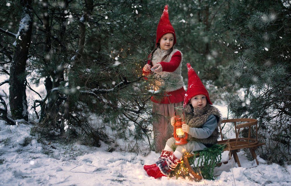 Photograph by Майсюк Юлия