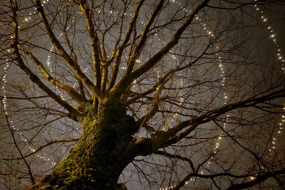 Спираль развития.