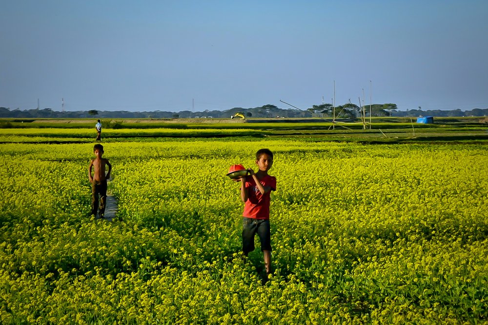 Bearing Meal for his father