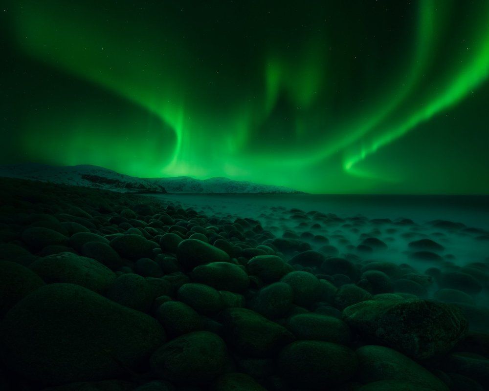 Aurora of Murmansk