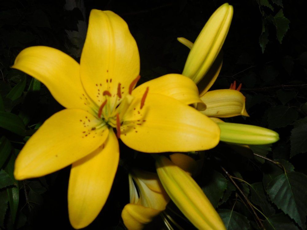 Photograph by Екатерина