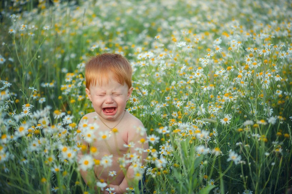 Photograph by Елена