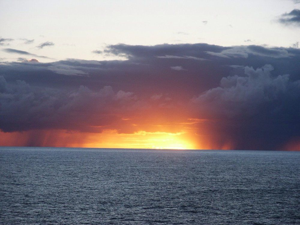 Свет -жизни)