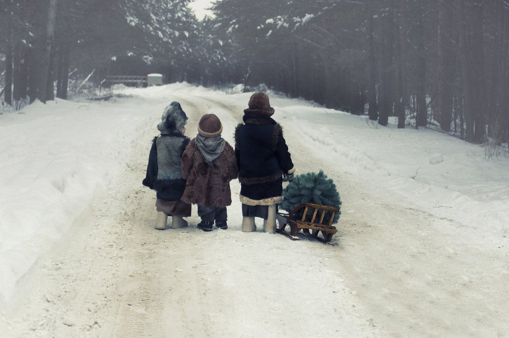 В лес за елкой