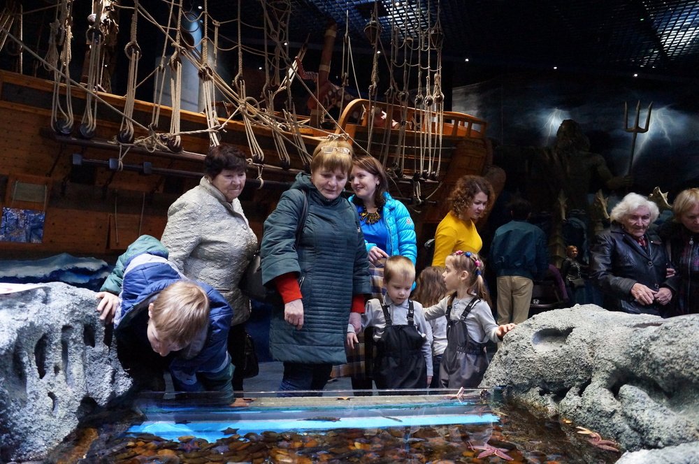 В океанариуме