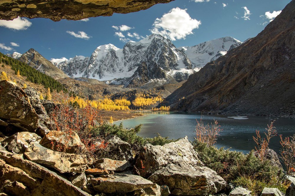 На Шавлинских осень золотая ...