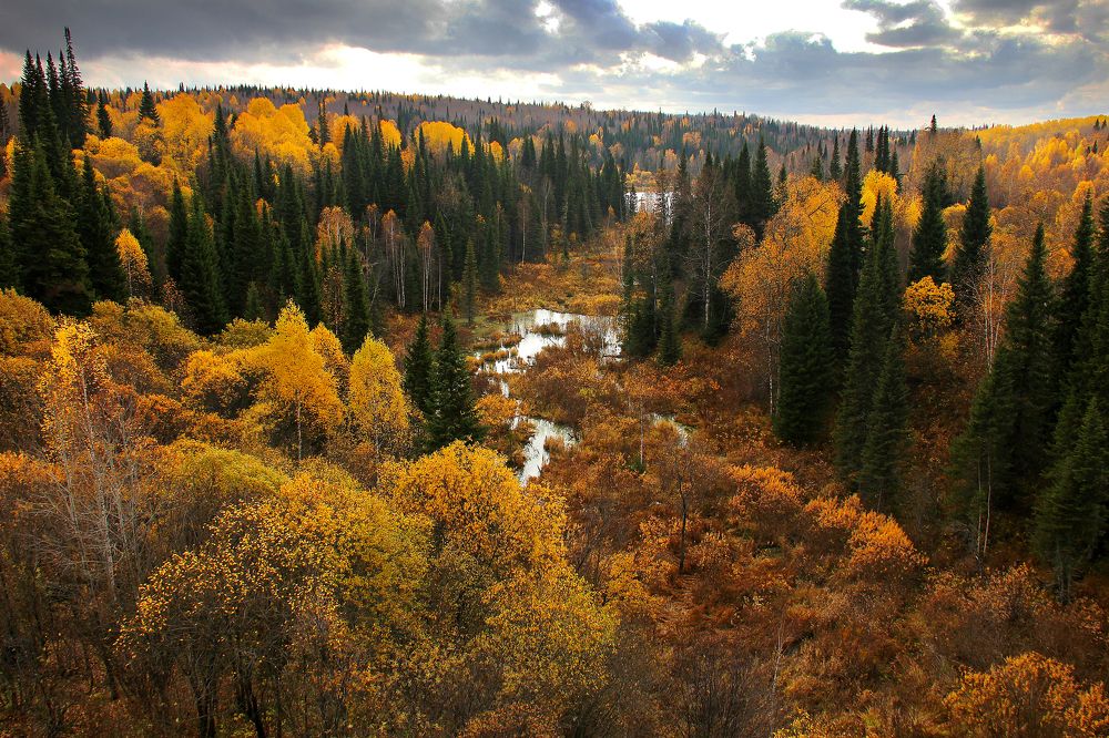 Россия. Алтай. Осень.